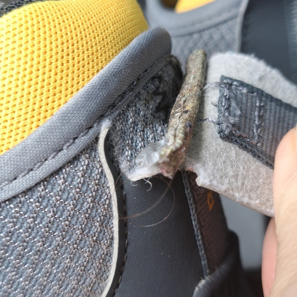 Reebok Zig Dynamica Running Shoes Big Kids 5.5 or Women's 7.5 24cm - Picture 8 of 17